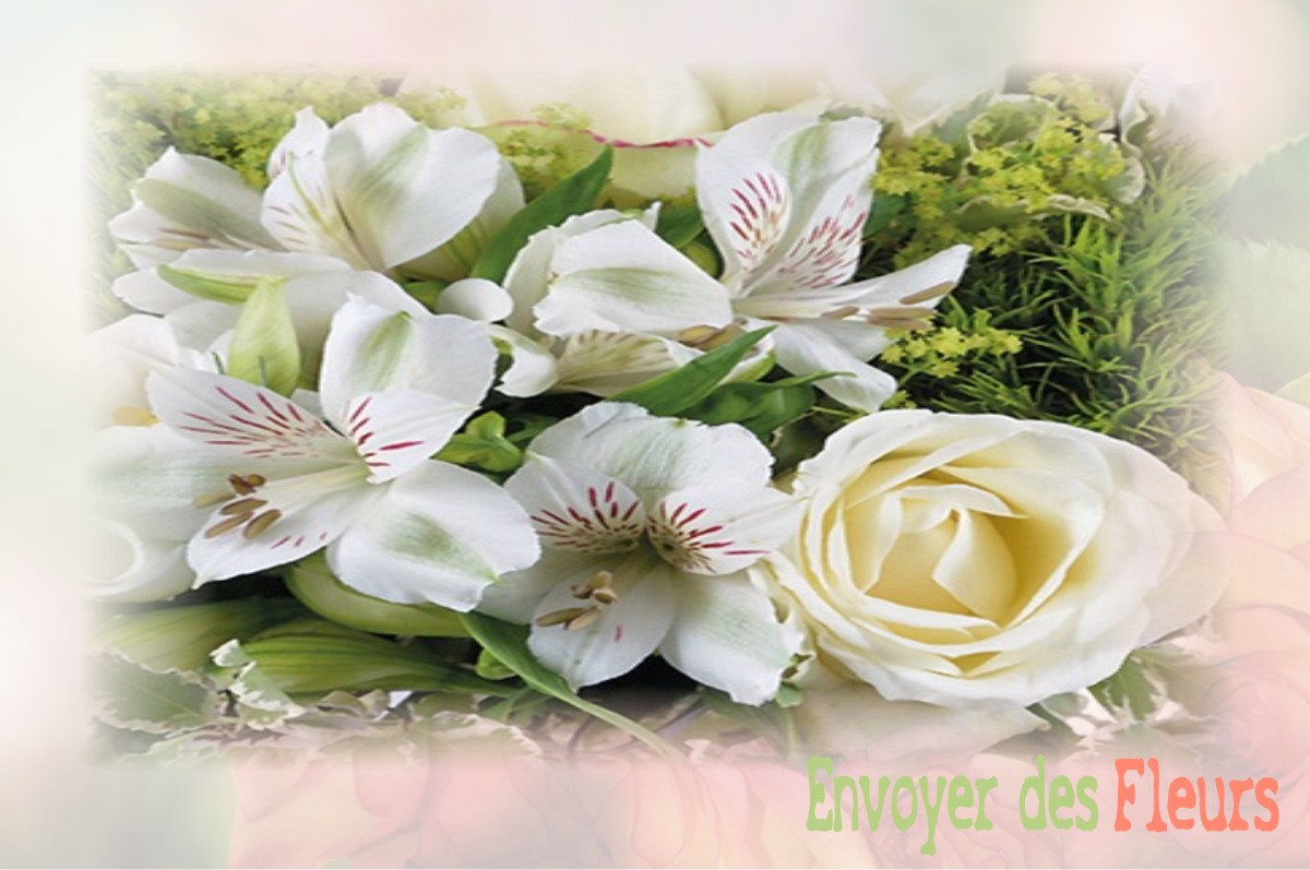 envoyer des fleurs à à VILLERS-CARBONNEL