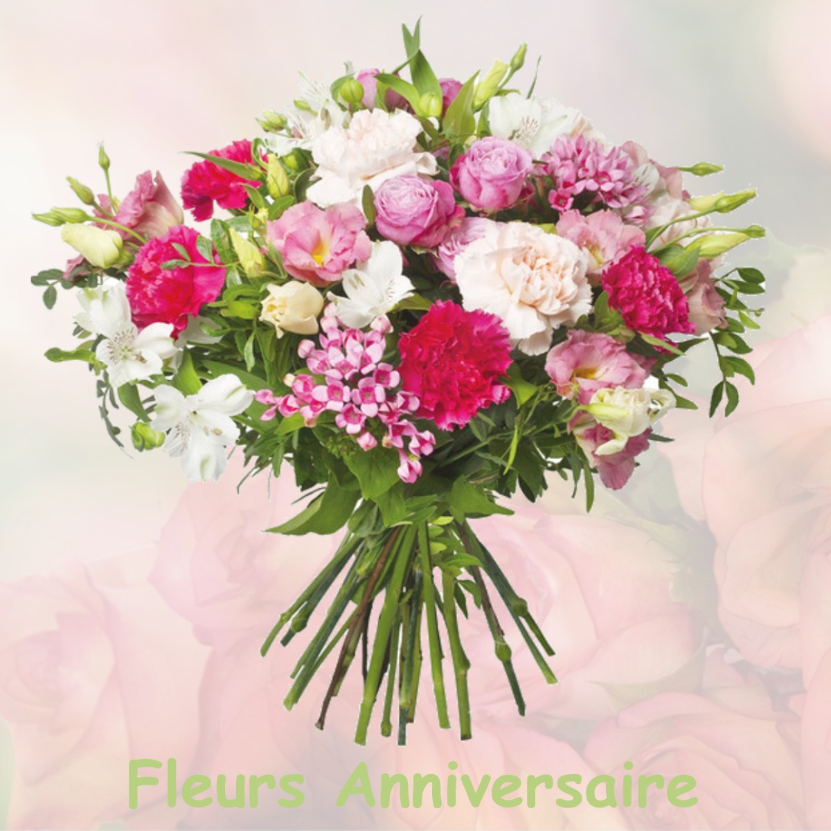 fleurs anniversaire VILLERS-CARBONNEL